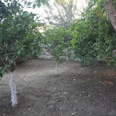 Vandrerhjem Vila 3 Berat