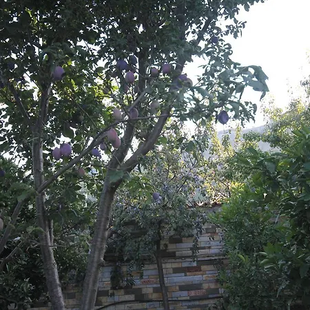 Vila 3 Hostel